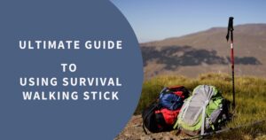 ultimate survival walking stick